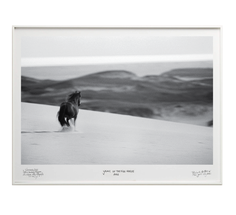 RobertoDutesco-venice-somethingelse